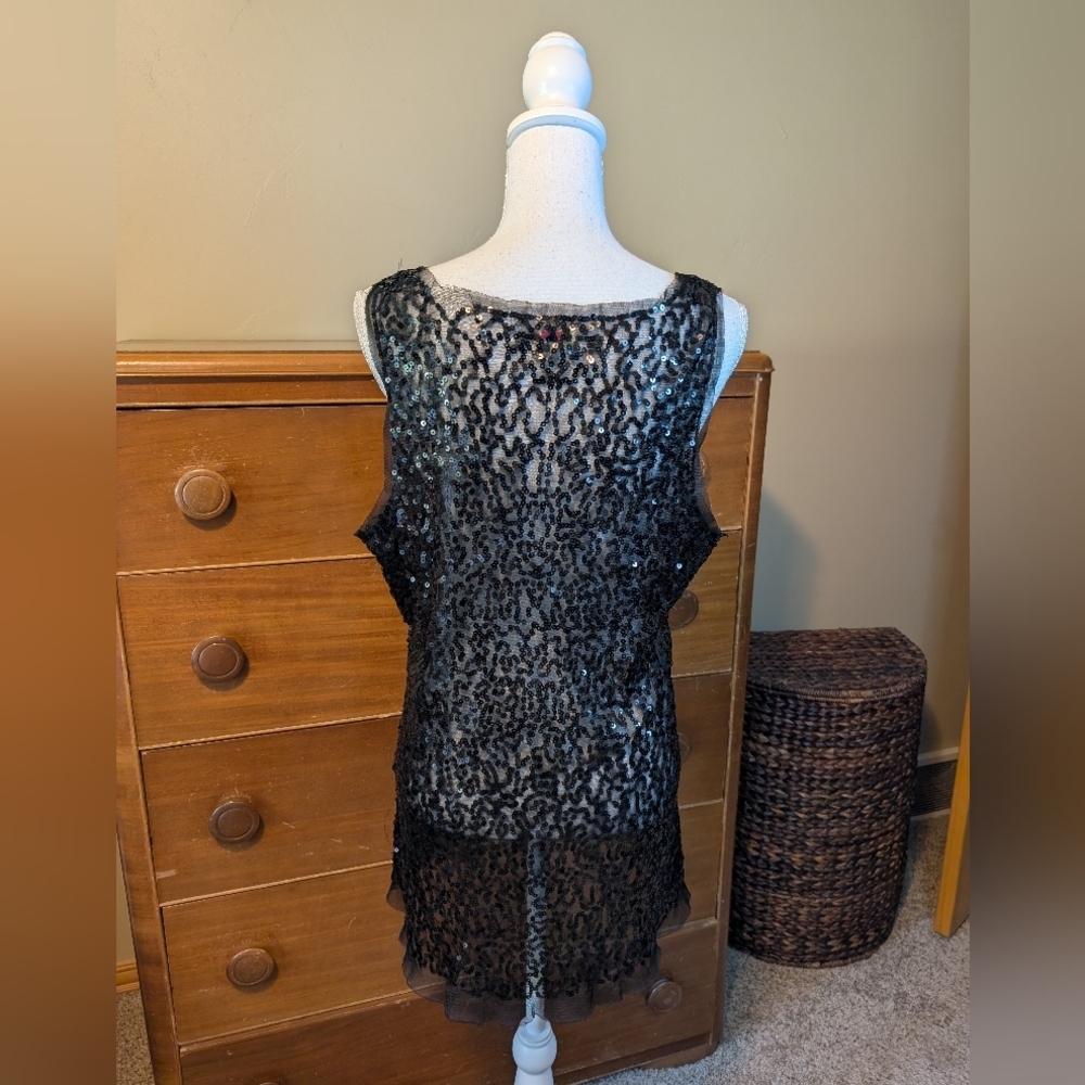 Sheer Black Lace Sequin Plus Lingerie - Picture 7 of 10